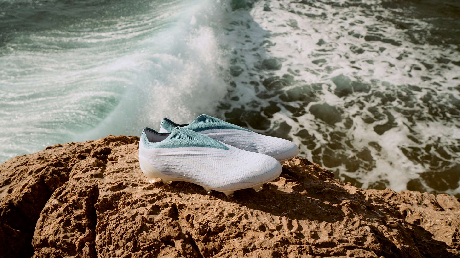 到多方面的 到多方面的