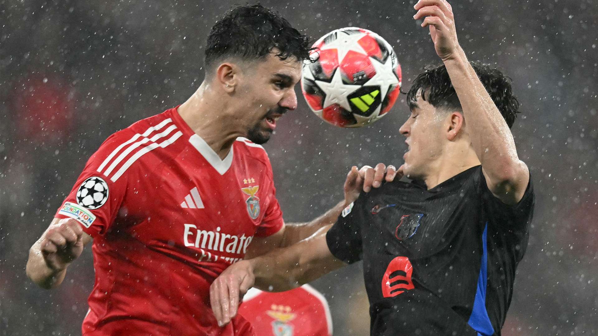 常鲜艳多彩 常鲜艳多彩